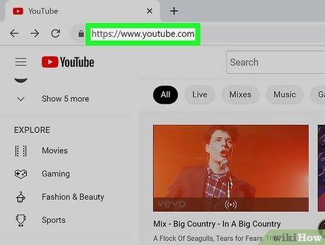Unlock Your Audience: Simple Ways to Check YouTube Subscribers