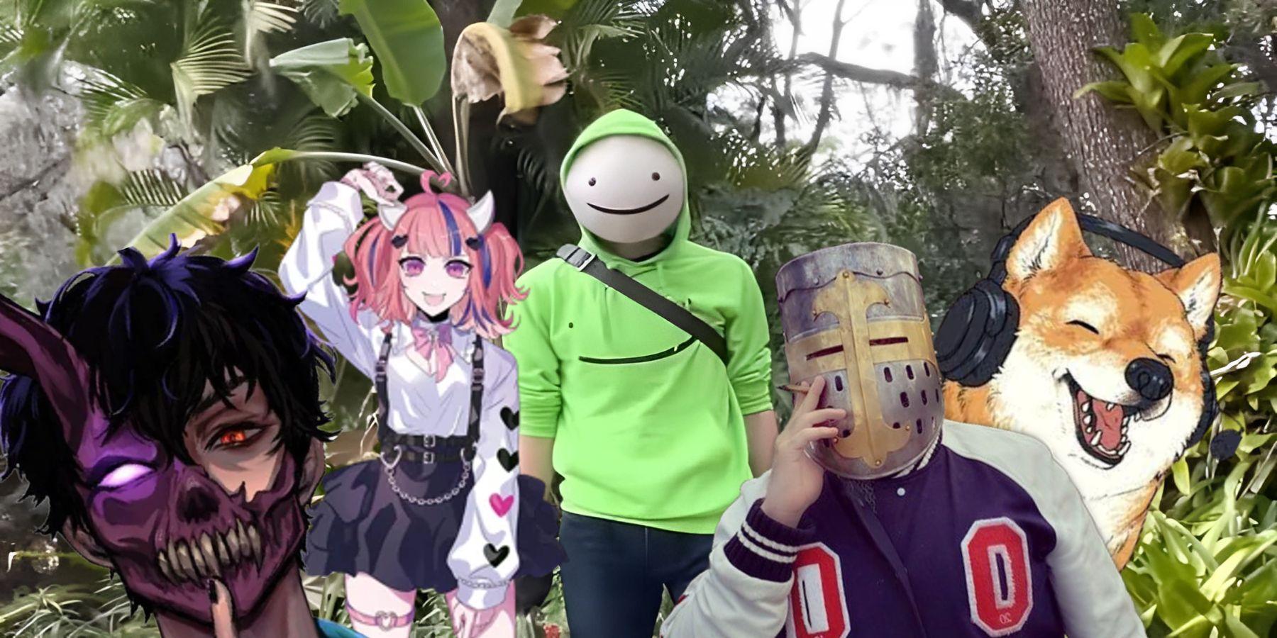 Unveiling Hollow: The Age Behind the Streamer’s Mask