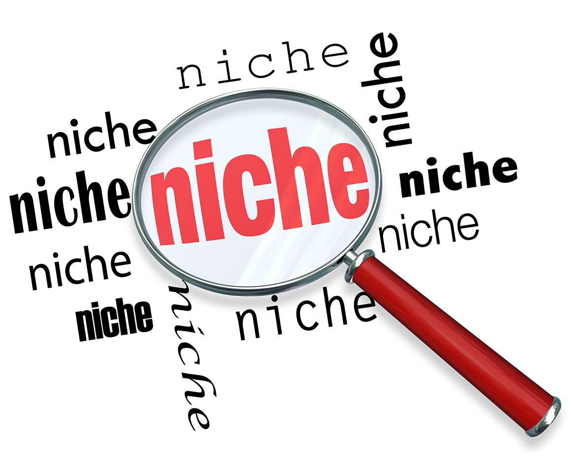 Leveraging Niche Content for Consistent Revenue Streams
