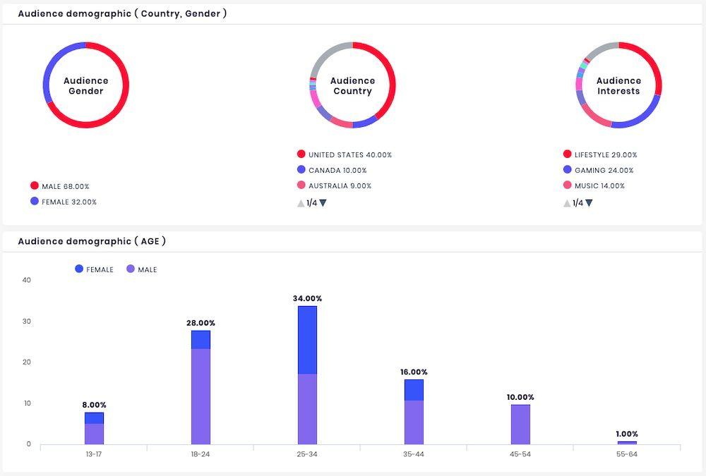 Understanding Your YouTube Audience demographics