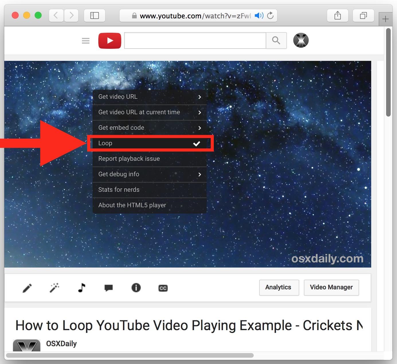 Looping Videos on YouTube: Why It Matters for Content Creators