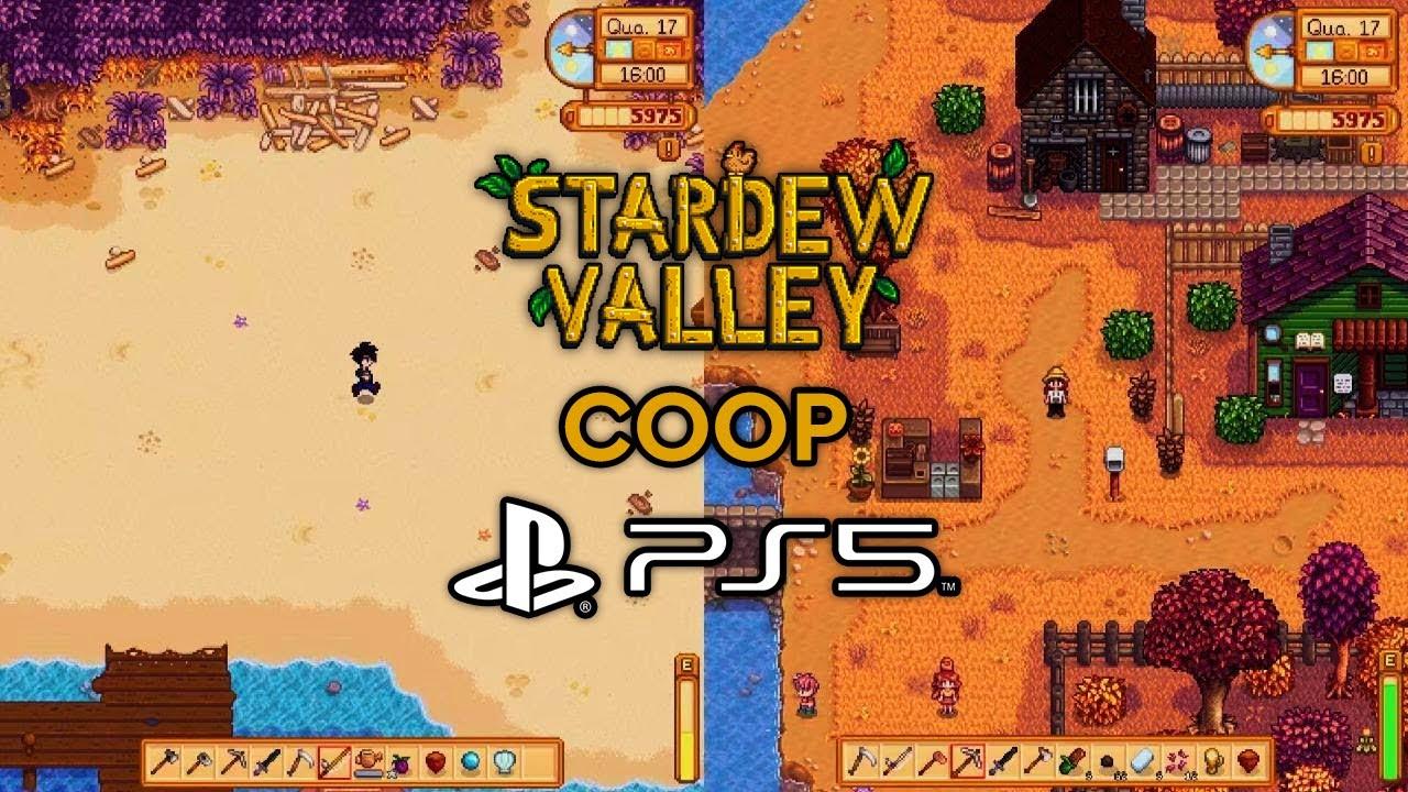 Understanding Co-op gameplay on PS5 Stardew​ Valley