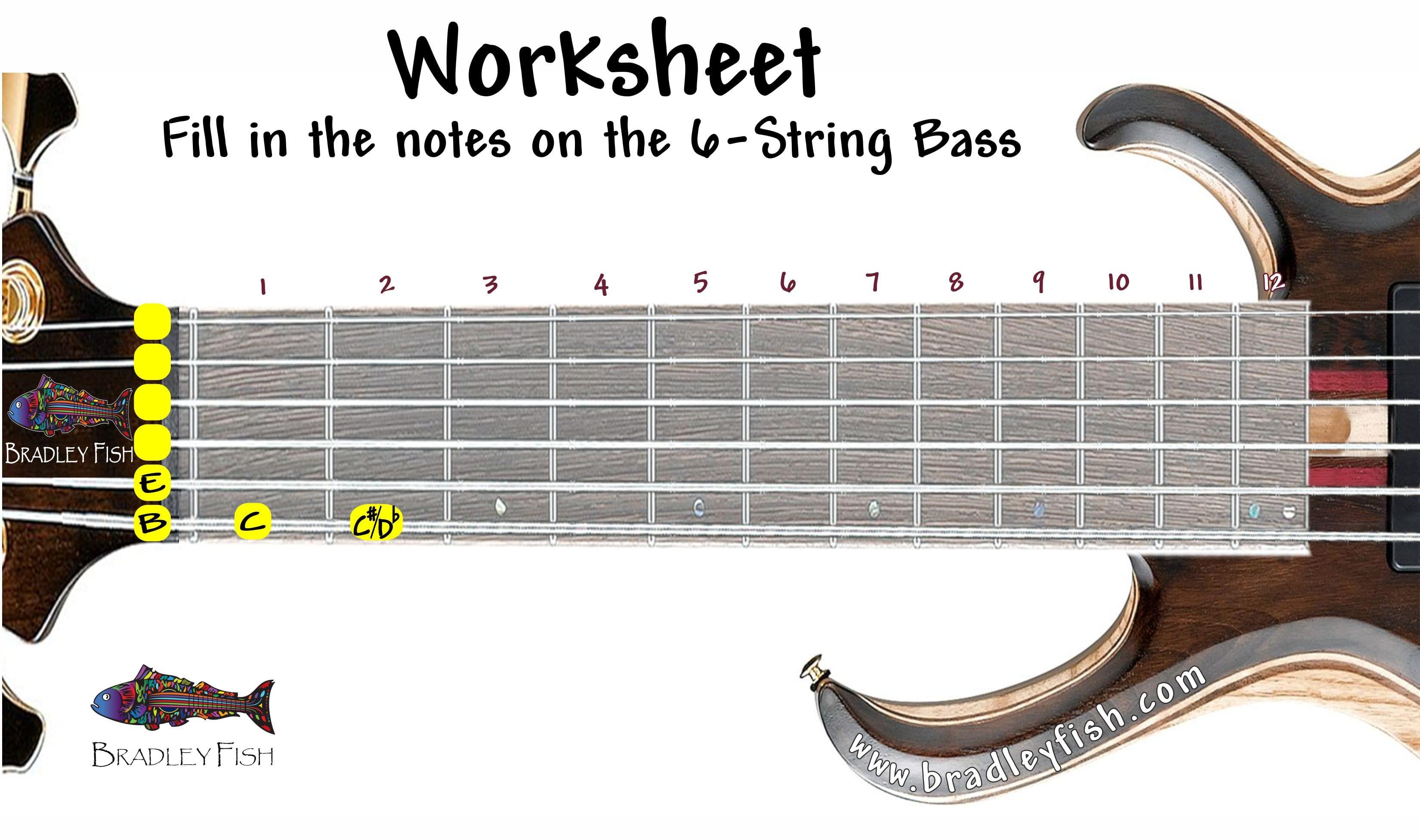 Understanding the Anatomy⁤ of Your Bass Guitar‍ Strings