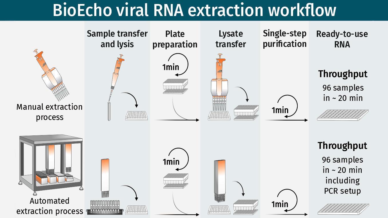 Maximizing Efficiency with Automated Transcript Extraction